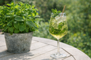 Honey Hugo Wild Spritz