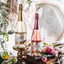 Nude & Blush 75cl (Case of 6)